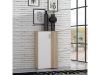Picture of Shoe cabinet bts321-p79f, forte, dimensions 120x69x35cm, white/oak