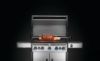 Picture of Rotisserie kit rogue, stainless steel, silver, 46 inch.