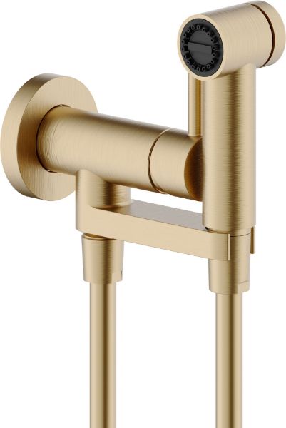 Picture of Shut off hand shower av00600cgp, nobili, fixed hand shower support, round escutcheon, 100cm hose, miele brushed pvd