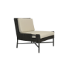 Picture of Slipper chair, elisir, aluminium bronze, rattan bronze carbon, with 2 cushions champagne (b&s), 74x78x75cm