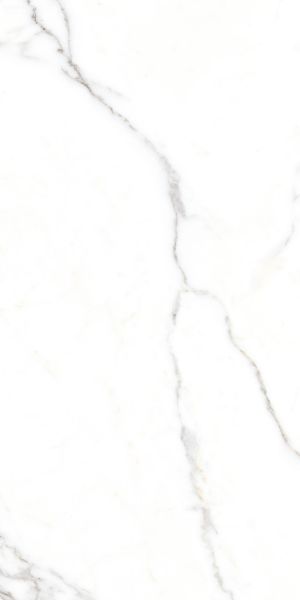 Picture of Floor tile calacatta snow, marble effect, matt, 60x120