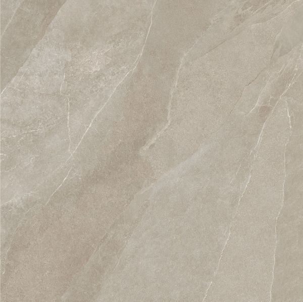 Picture of Floor tile SL0612 taupe, stone effect, matt, square 120x120cm