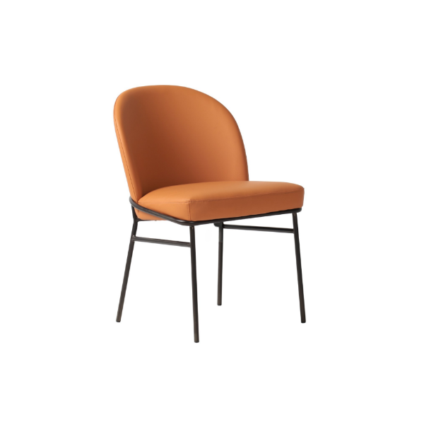 Picture of Chair, sophie, matt bronze metal, terra pu leather, 49x56x82cm
