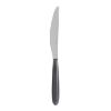 Picture of Table knife, iris, real, grey