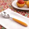 Picture of Spoon, vero, abricot 15