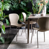 Picture of Chair cb/2310 ops!, connubia, dimensions 48x54x81cm, matt lava metal frame, upholstered in taupe cros fabric (p38m/sla)