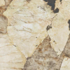 Picture of Floor tile marVel desert, marble effect,lappato, 60x120