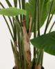 Picture of Bimë artificiale Banana në vazo të zezë, 210 cm