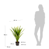 Picture of Bimë artificiale Yucca