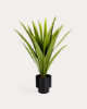 Picture of Bimë artificiale Yucca