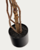 Picture of Bimë artificiale Ficus në vazo të zezë, 180 cm
