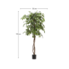Picture of Ficus artificial