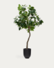 Picture of Bimë artificiale Ficus në vazo të zezë, 210 cm