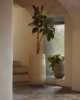 Picture of Tival vase