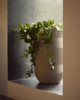 Picture of Tival vase